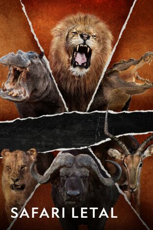 Safari letal. Safari letal: Dientes vs. garras