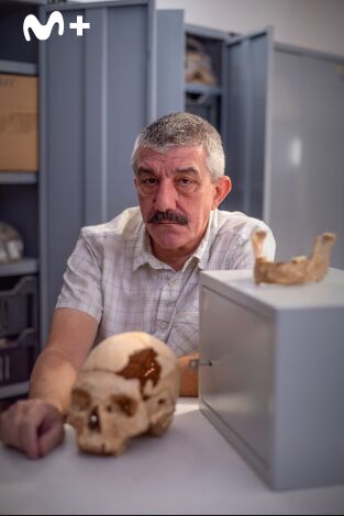 Human: la historia del ser humano. Human: la historia del...: La desaparición de los neandertales