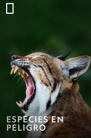 Especies En Peligro