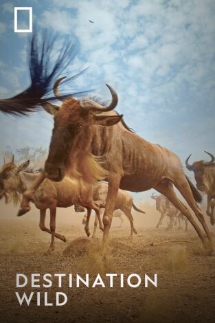 Destination Wild