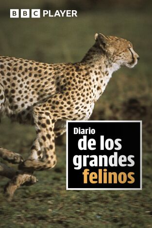 Diario de los grandes felinos