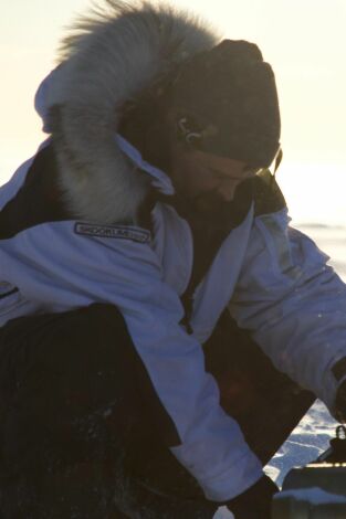 La pesca del oro. T(T18). La pesca del oro (T18): El arte de la guerra fría