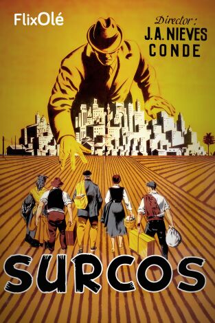 Surcos