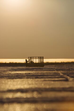 Vida bajo cero. Vida bajo cero: Ep.8