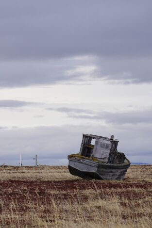 Vida bajo cero. Vida bajo cero: Ep.17