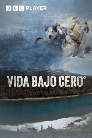 Vida bajo cero. Vida bajo cero 