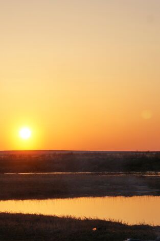 Vida bajo cero. Vida bajo cero: Ep.19