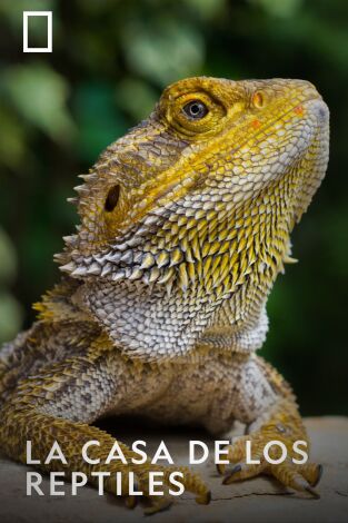La casa de los reptiles