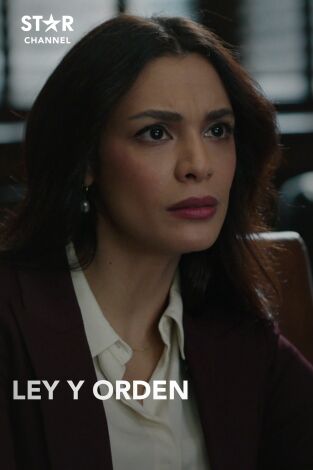 Ley y Orden. T(T3). Ley y Orden (T3)