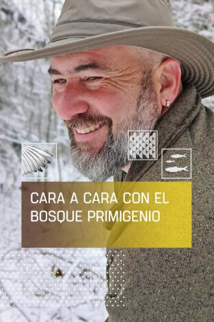 Cara a cara con el bosque primigenio