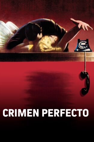 Crimen perfecto