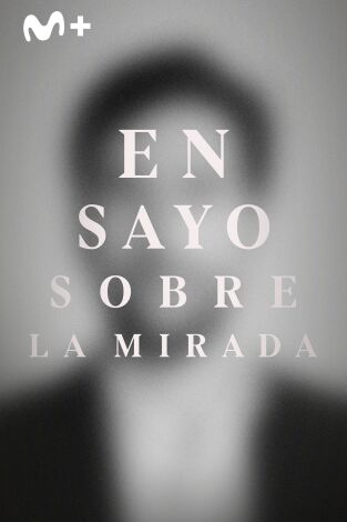 Ensayo sobre la mirada