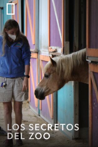 Los secretos del zoo