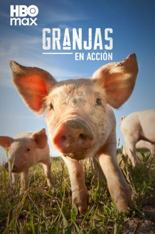 Granjas en acción