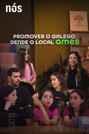 Promover o galego dende o local: Ames