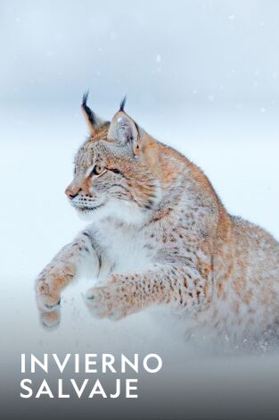 Invierno salvaje. Invierno salvaje: Los reinos montañosos
