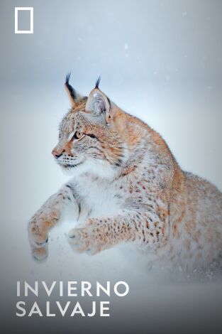 Invierno salvaje