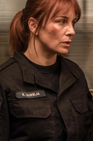 El deshielo. T(T3). El deshielo (T3): Ep.6 