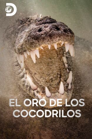 El oro de los cocodrilos