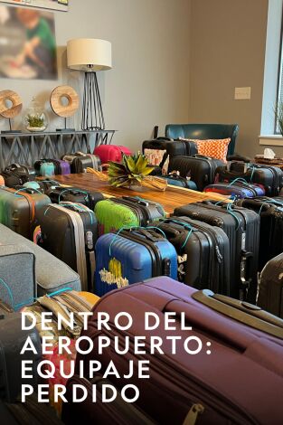 Dentro del aeropuerto: equipaje perdido. Dentro del aeropuerto:...: Ratas, anillos e indumentaria