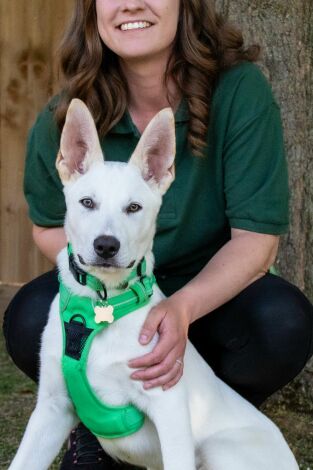 The Dog House. T(T7). The Dog House (T7): Ep.2