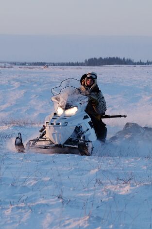 Vida bajo cero. Vida bajo cero: Sin garantías