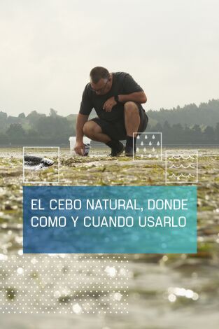 El cebo natural: donde, cómo y cuándo usarlo