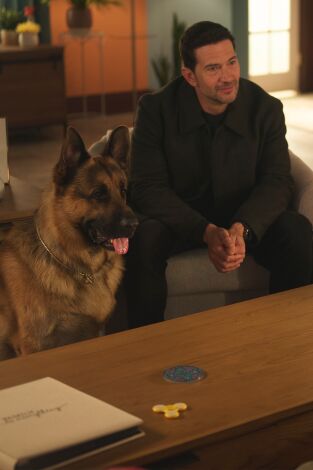 Hudson & Rex. T(T8). Hudson y Rex (T8): Ep.2 Testigo a la fuga