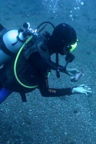 Misterios en el museo. Misterios en el museo: Huir de Fidel y más