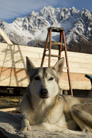 Construyendo Alaska. T(T11). Construyendo Alaska (T11): Una vida de percances