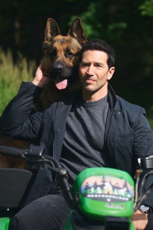 Hudson & Rex. T(T8). Hudson y Rex (T8): Ep.5 Resistencia Máxima Terranova