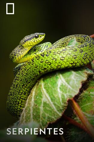 Serpientes