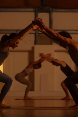 Twisted Yoga: desenmascarando al gurú. Twisted Yoga:...: Ep.1