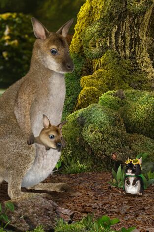 Wonder Pets en la ciudad. T(T2). Wonder Pets en la... (T2): Ayudan a los walabíes / Ayudan a la babosa