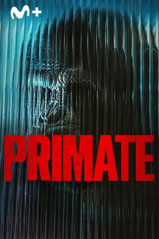 Primate