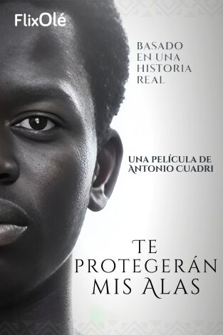 Te protegerán mis alas