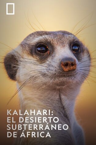 Kalahari: El desierto subterráneo de África