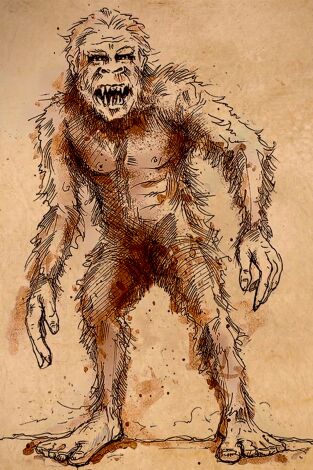Monstruos: archivos perdidos. Monstruos: archivos...: El misterio del Hombre Salvaje de Minnesota