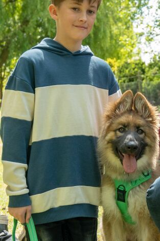 The Dog House. T(T7). The Dog House (T7): Ep.7