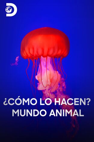¿Cómo lo hacen? Mundo animal