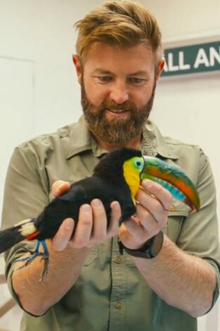 Vantara: santuario de animales. Vantara: santuario...: Prescripciones y provisiones