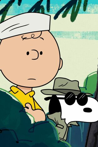 Campamento Snoopy. T(T2). Campamento Snoopy (T2): Ep.13 El problema de Sally / El libro de fotos