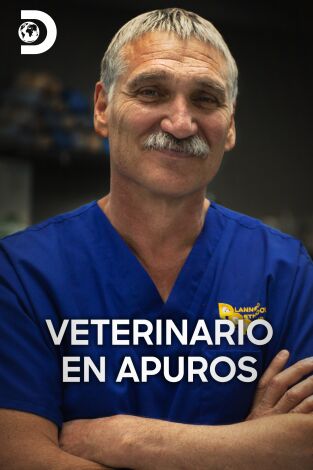 Veterinario en apuros. Veterinario en apuros 