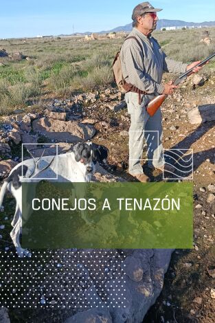 Conejos a tenazón