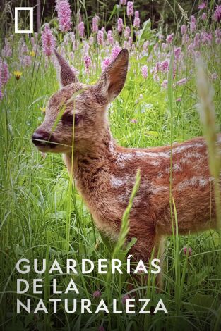 Guarderías de la naturaleza