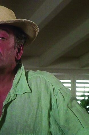 Columbo (1988). T(T3). Columbo (1988) (T3): Ep.14 A Colombo le gusta la noche