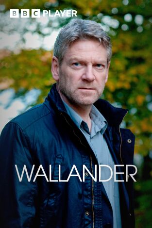 Wallander. T(T3). Wallander (T3)