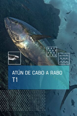 El atún de cabo a rabo. T(T1). El atún de cabo a... (T1): El sueño del atún