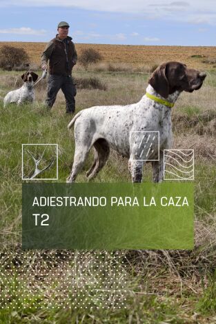 Adiestrando para la caza. T(T2). Adiestrando para... (T2): La guía y el fijado de la muestra