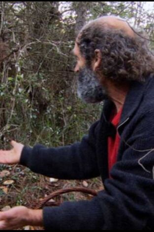 El señor de los bosques
